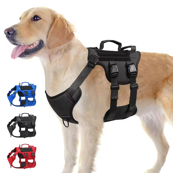 How to Choose a No-Pull Dog Harness: Size Guide and Fit Tips