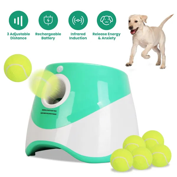 Automatic Ball Launchers: A Guide for High-Energy Dogs