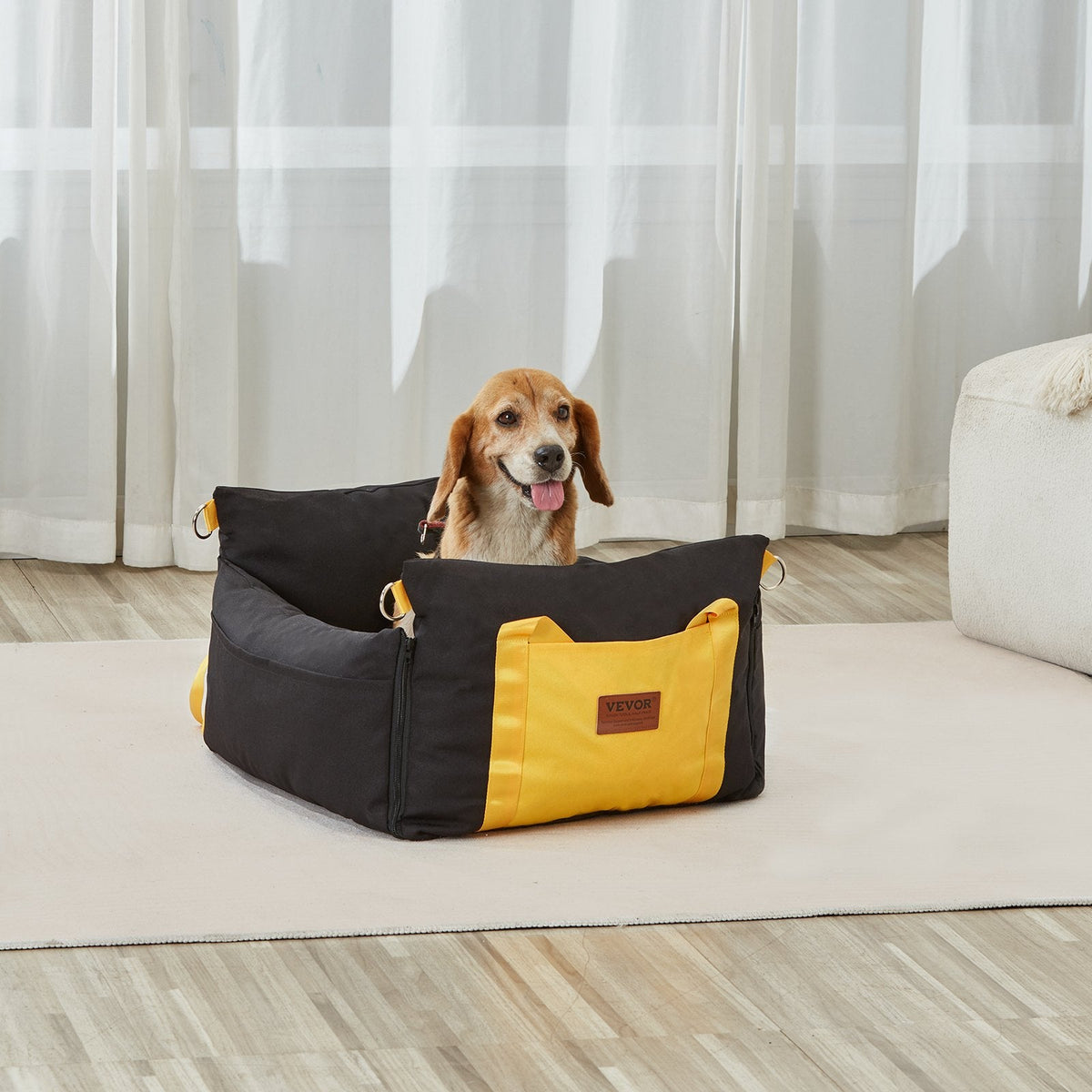 Road Trip with a Dog: Car Safety Tips and Packing Checklist