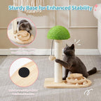 Mushroom Cat Scratching Post with Ball Track Toy - view 5