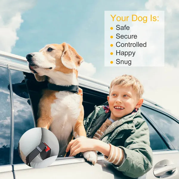 Dog car seat belt leash 2-pack, image 8