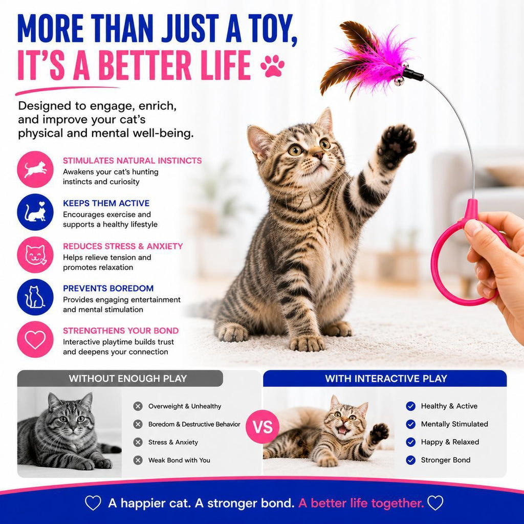 Wearable Feather Collar Cat Toy, 2-Piece Set - view 5