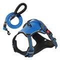 No-Pull Dog Harness & 5 ft Leash Set for Large Dogs