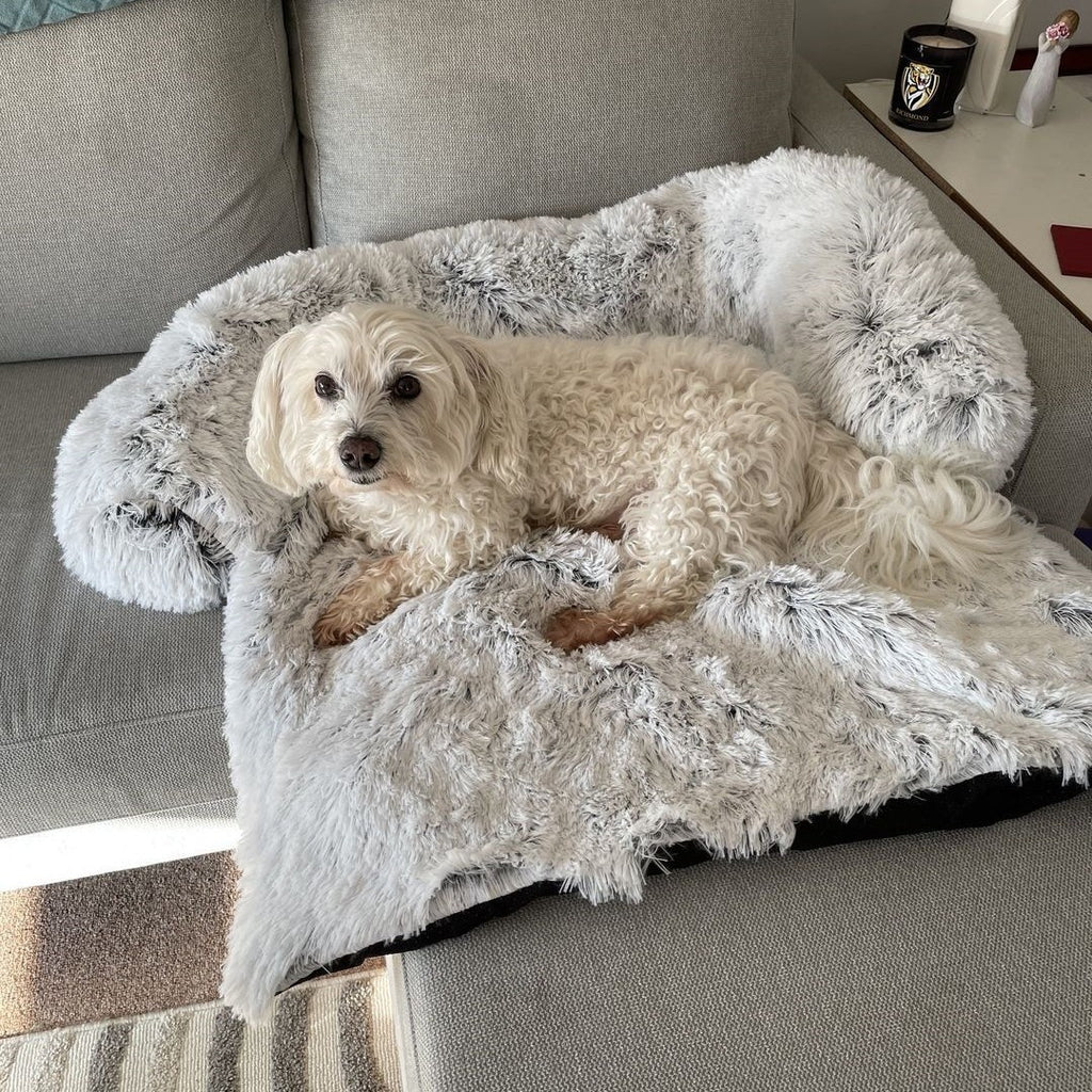 Calming plush couch and floor dog bed, image 8