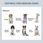 Elevated Double Dog Bowl Stand with 2 Stainless Steel Bowls - view 5