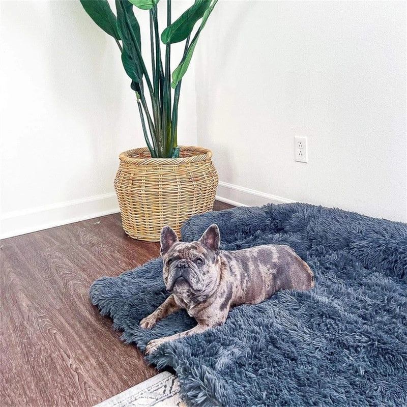 Calming plush couch and floor dog bed, image 5