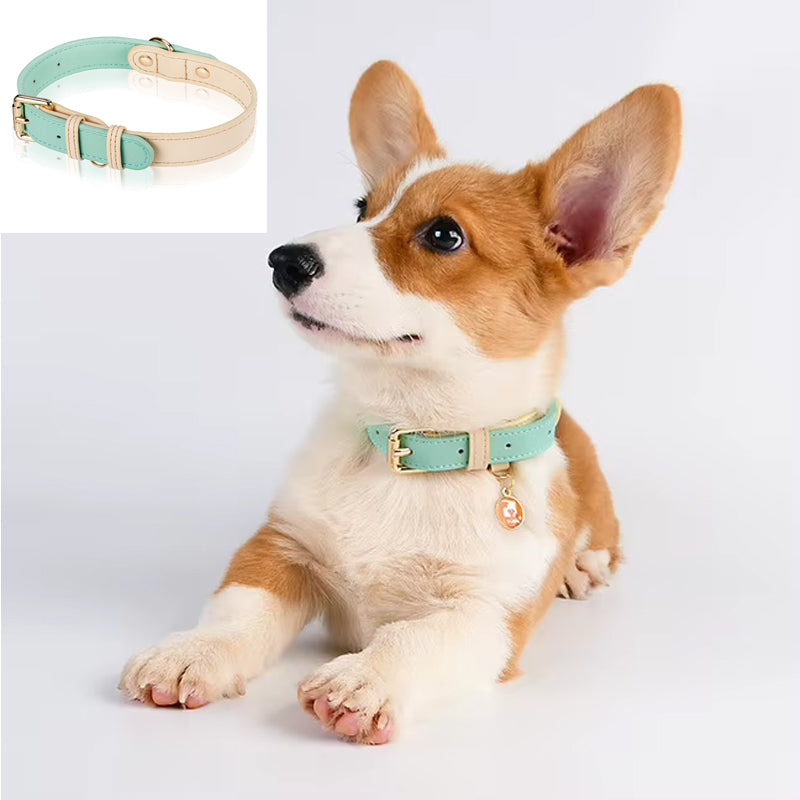 Genuine Leather Dog Collar, Adjustable