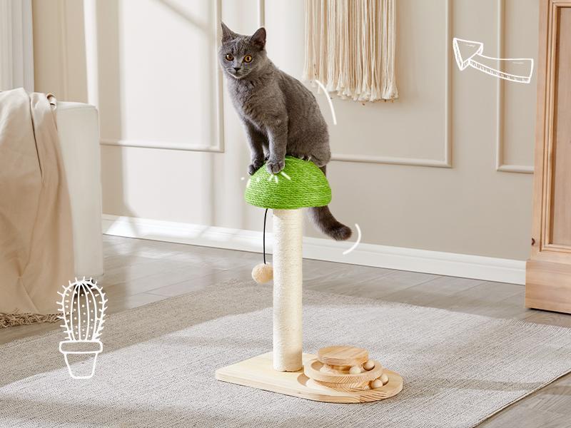 Mushroom Cat Scratching Post with Ball Track Toy - view 4
