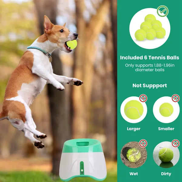 Automatic Dog Ball Launcher with 6 Tennis Balls - view 3