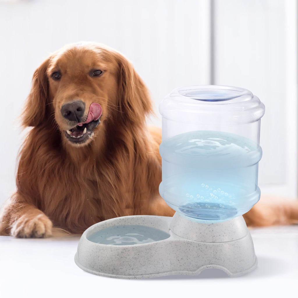 Gravity Pet Water Dispenser, 1 Gallon