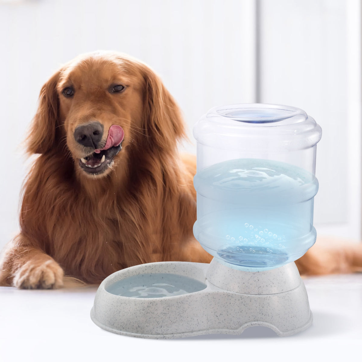 Gravity Pet Water Dispenser, 1 Gallon