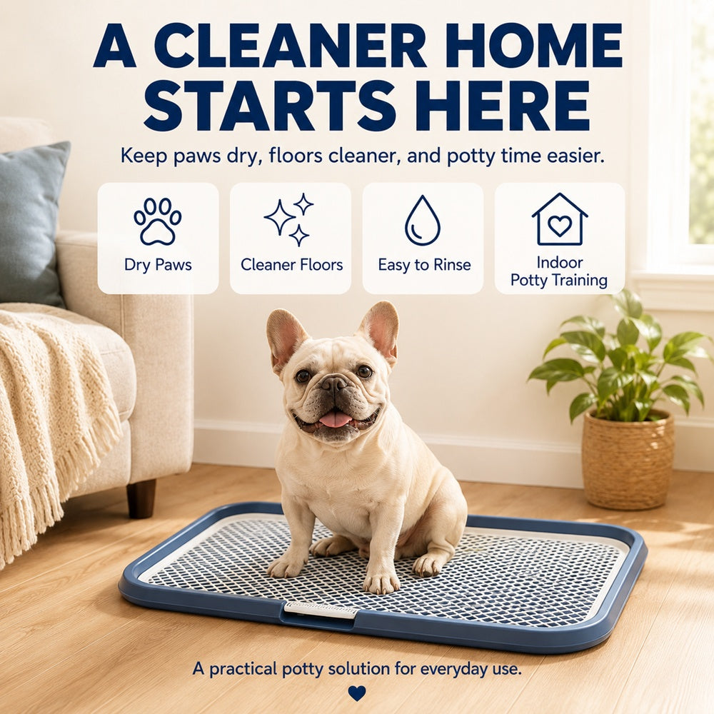 Indoor Dog Potty Tray with Raised Grid, 25.6 × 19.7 in - view 3