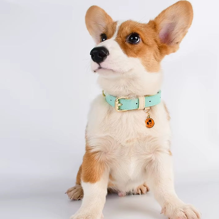 Genuine Leather Dog Collar, Adjustable - view 5