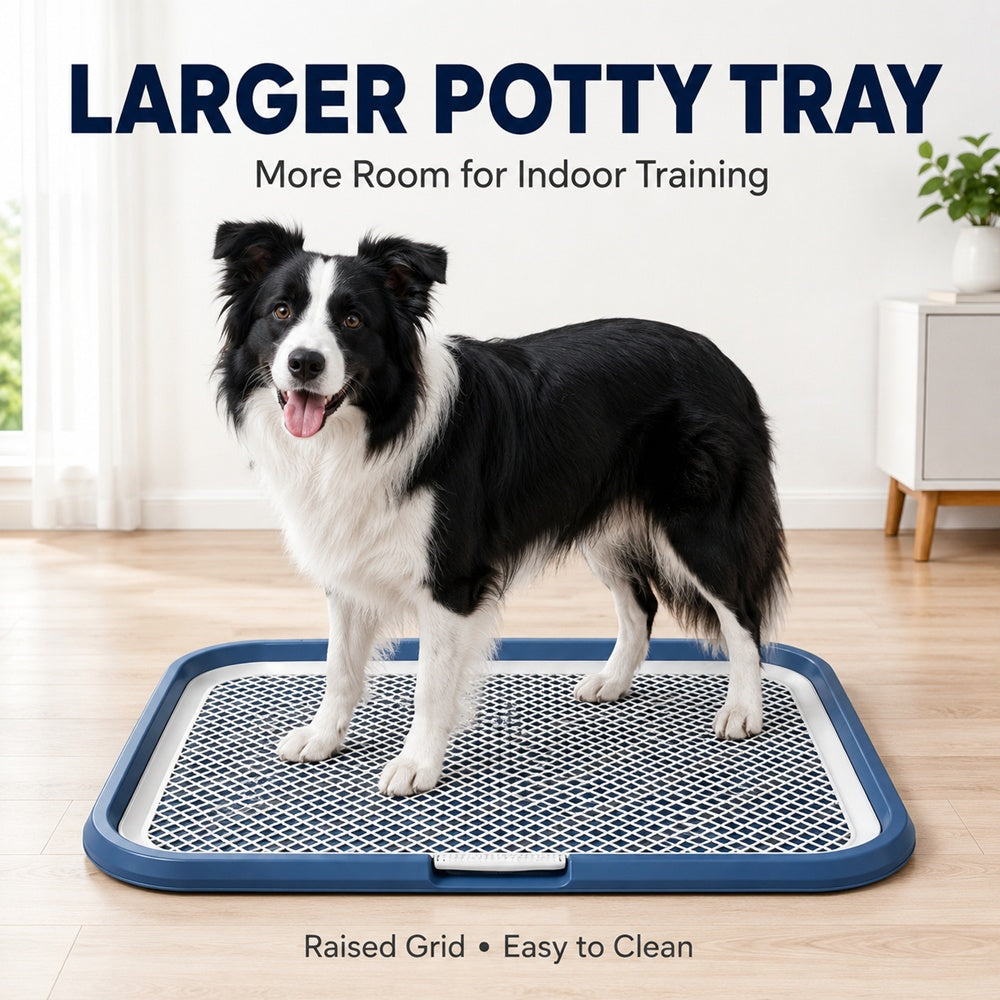 Indoor Dog Potty Tray with Raised Grid, 25.6 × 19.7 in