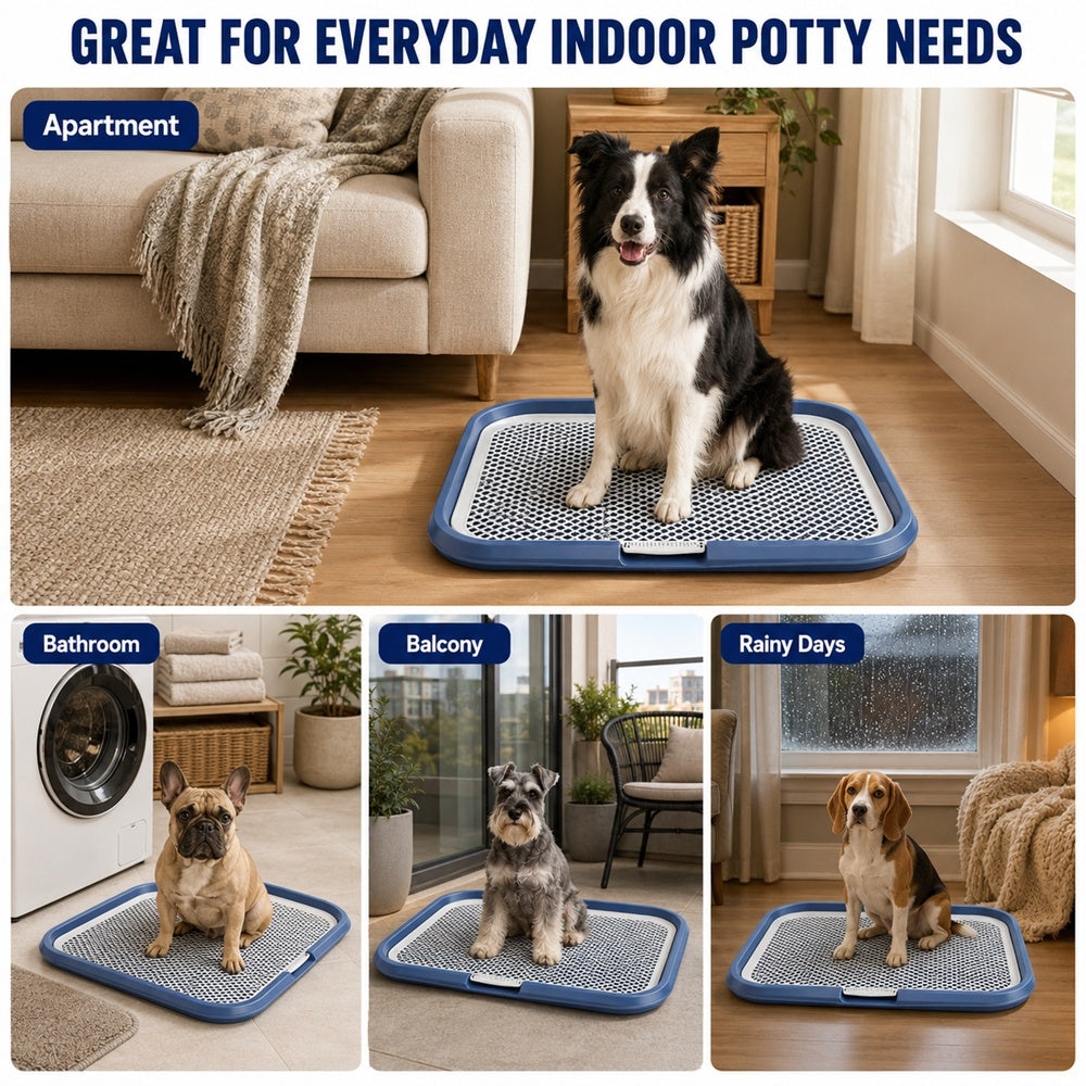 Indoor Dog Potty Tray with Raised Grid, 25.6 × 19.7 in - view 7