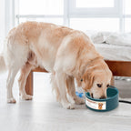 Heated Pet Water Bowl, 74 oz (Anti-Freeze) - view 4