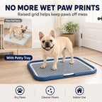 Indoor Dog Potty Tray with Raised Grid, 25.6 × 19.7 in - view 2